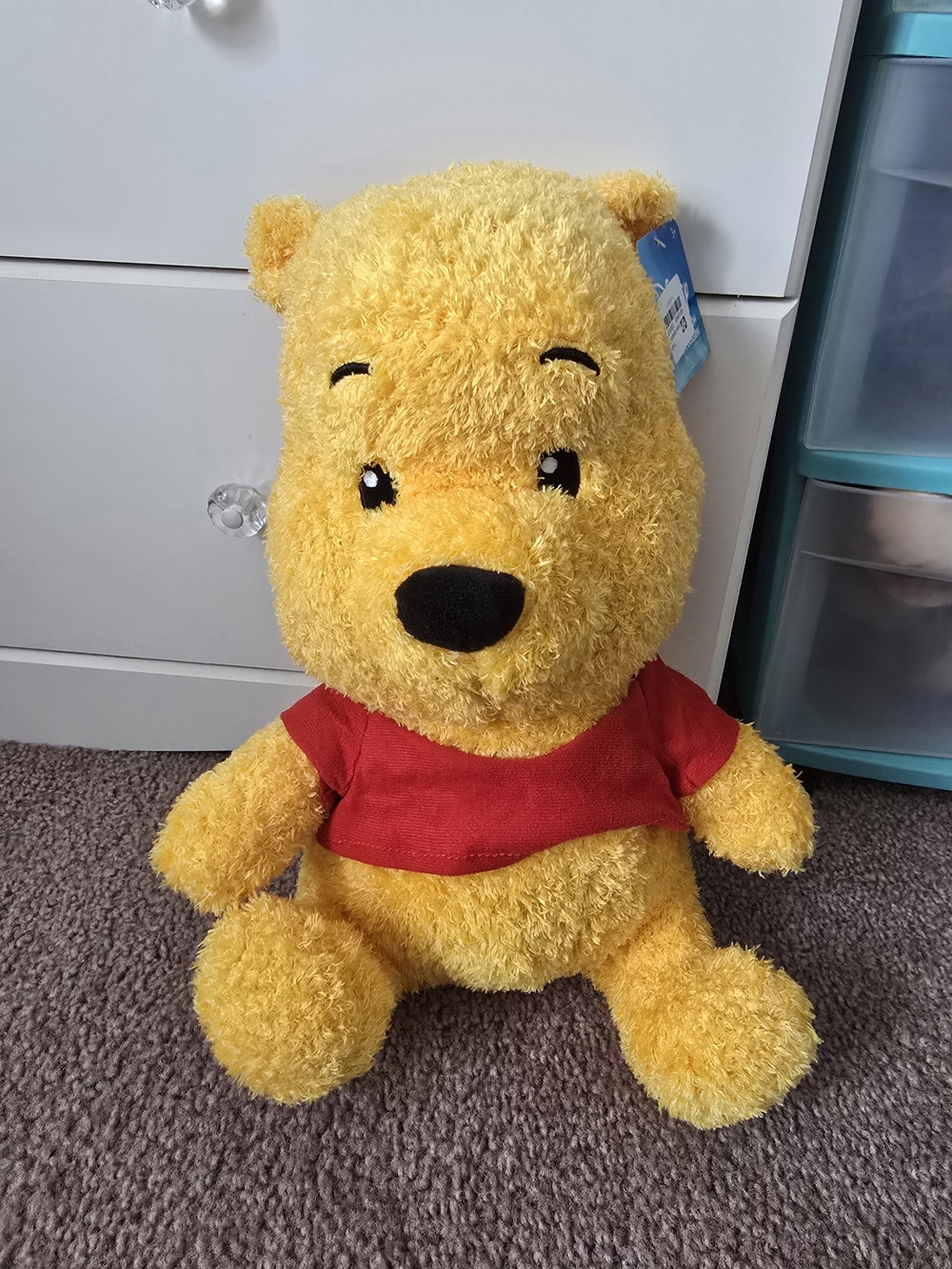 Winnie the Pooh Plush
